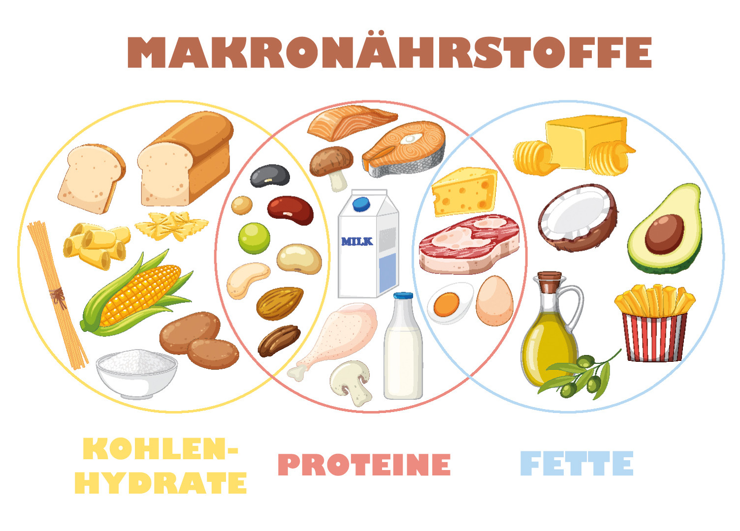 Makronährstoffe | Foto: iStockphoto