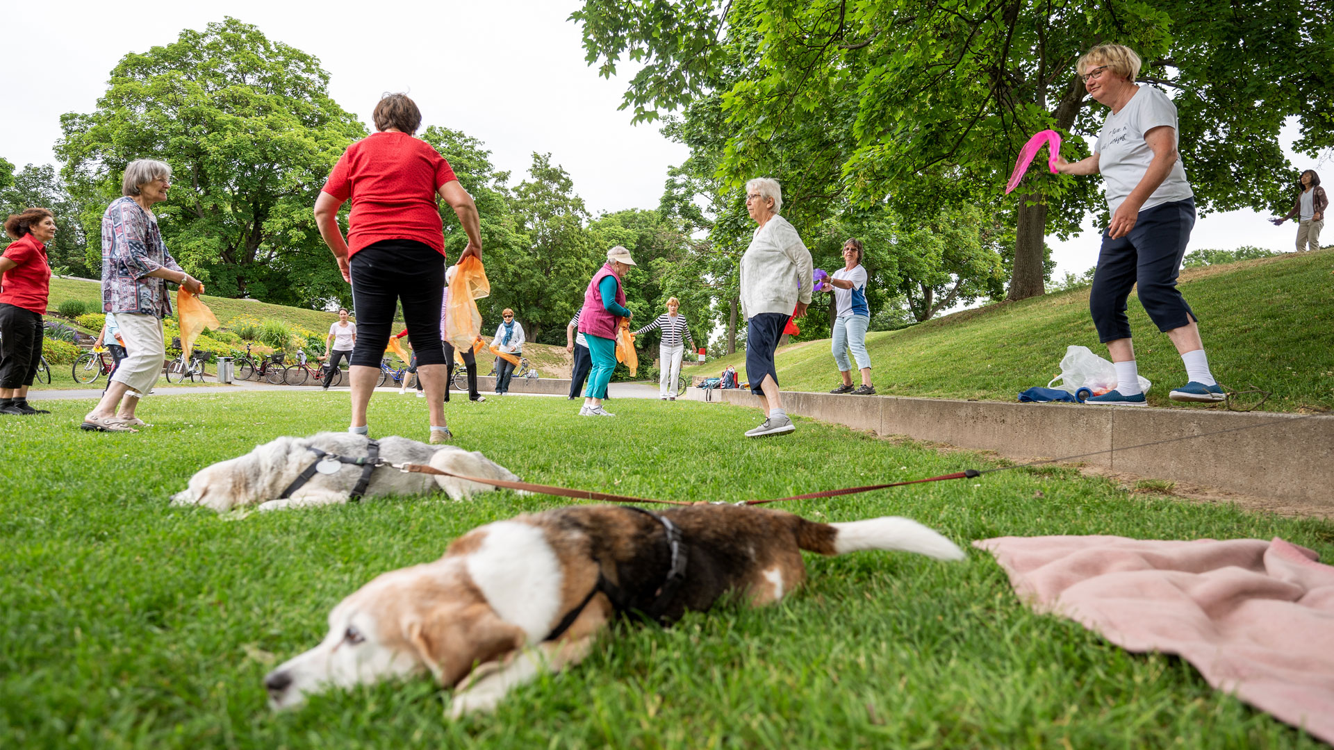 Bewegungsbegleiterinnen im Volkspark Mainz mit Hunden | Bildquelle: Torsten Silz