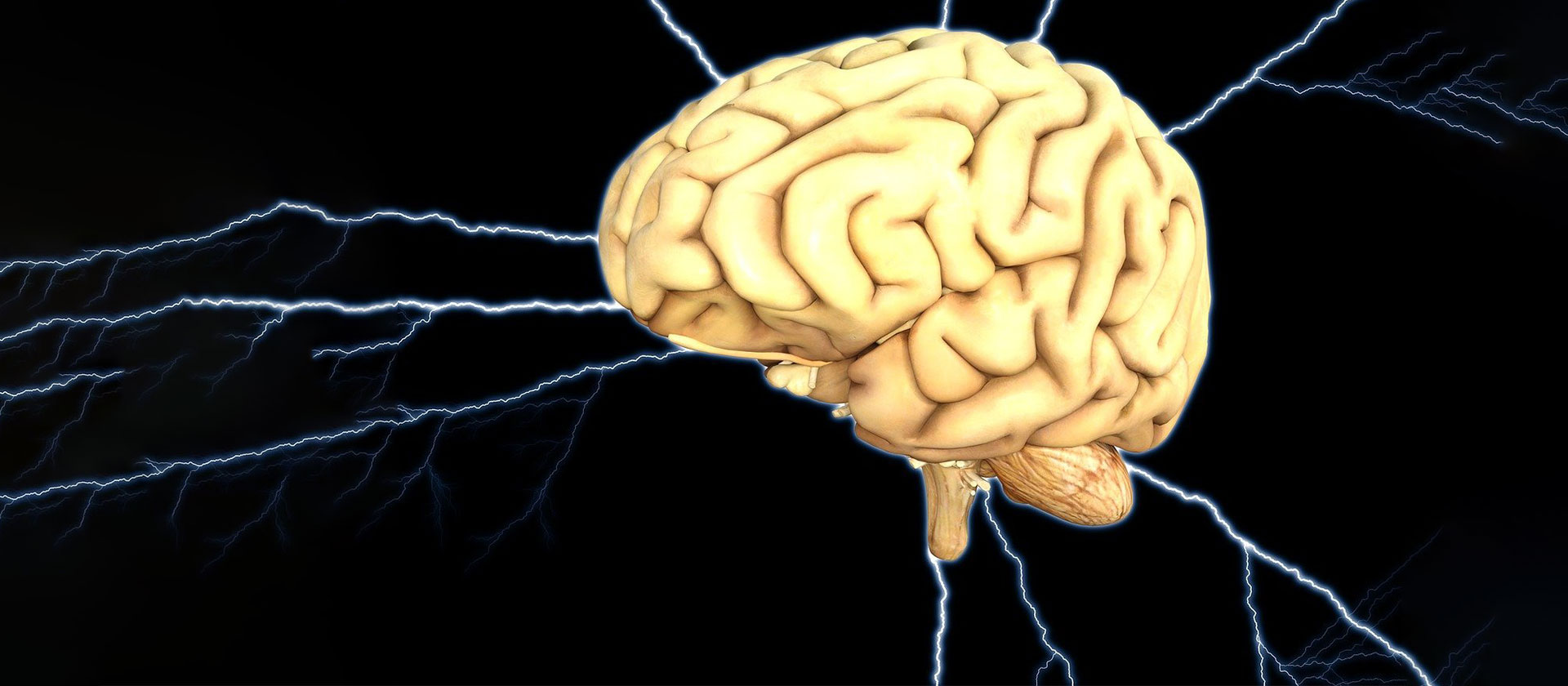 Das Gehirn | Foto: Pexels