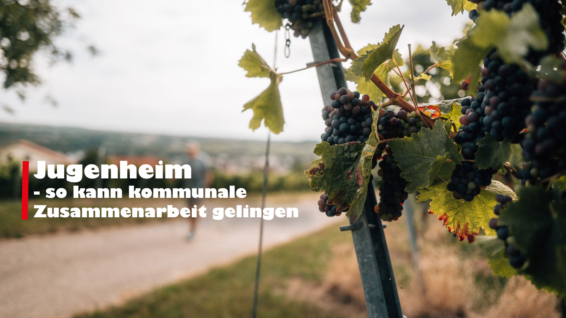 Weinberg Jugendheim | Foto: DICKITAL_